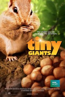 Tiny Giants 3D 2014