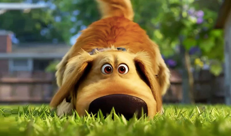 Dug Days