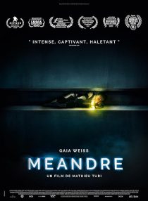 Meander 2020