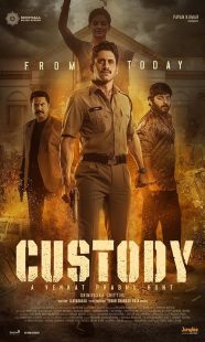 Custody 2023