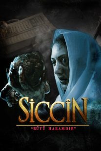 Siccin 2014