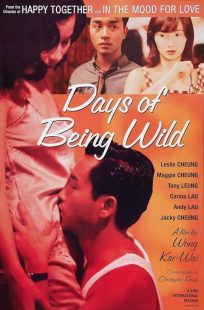 Days of Being Wild 1990