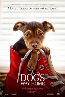 A Dog's Way Home 2019