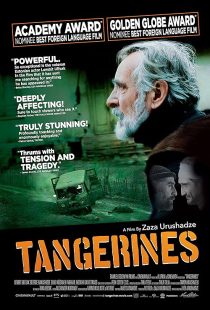 Tangerines 2013