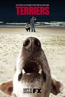 Terriers 2010