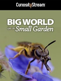 Big World in a Small Garden 2016