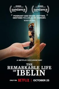 The Remarkable Life of Ibelin 2024