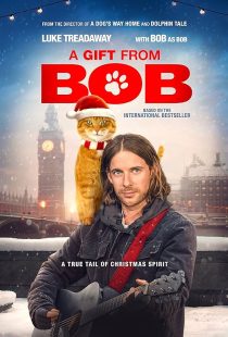 A Christmas Gift from Bob 2020