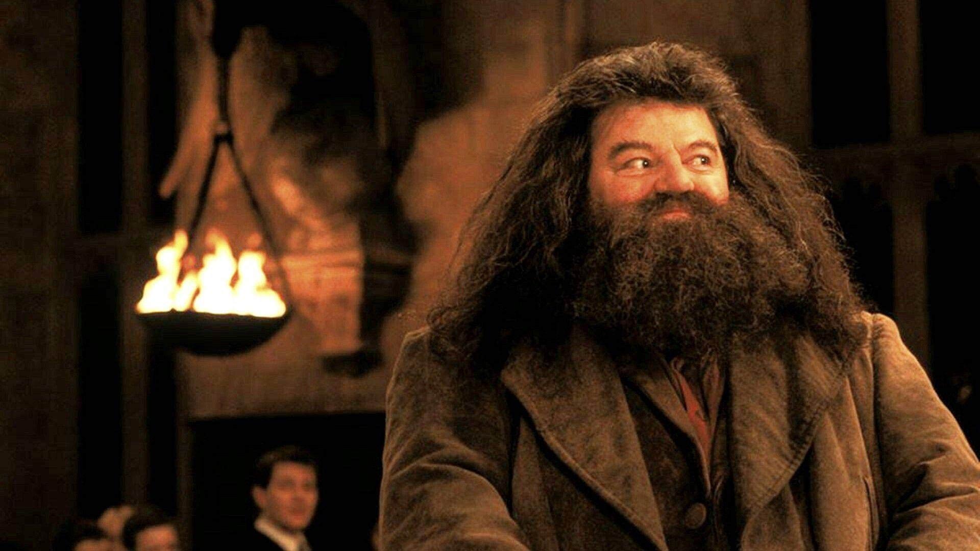 نیک فراست از بازی در سریال Harry Potter می‌گوید