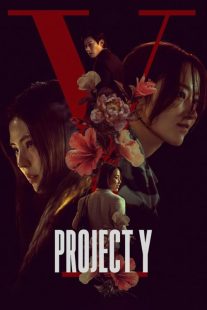 Project Y 2025